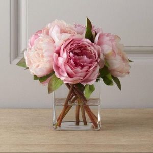 Meet your Posher, Mayra